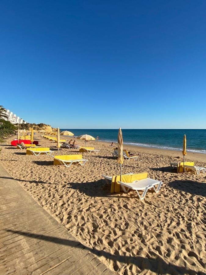 New Algarvegas Paradise Apartment Albufeira Kültér fotó