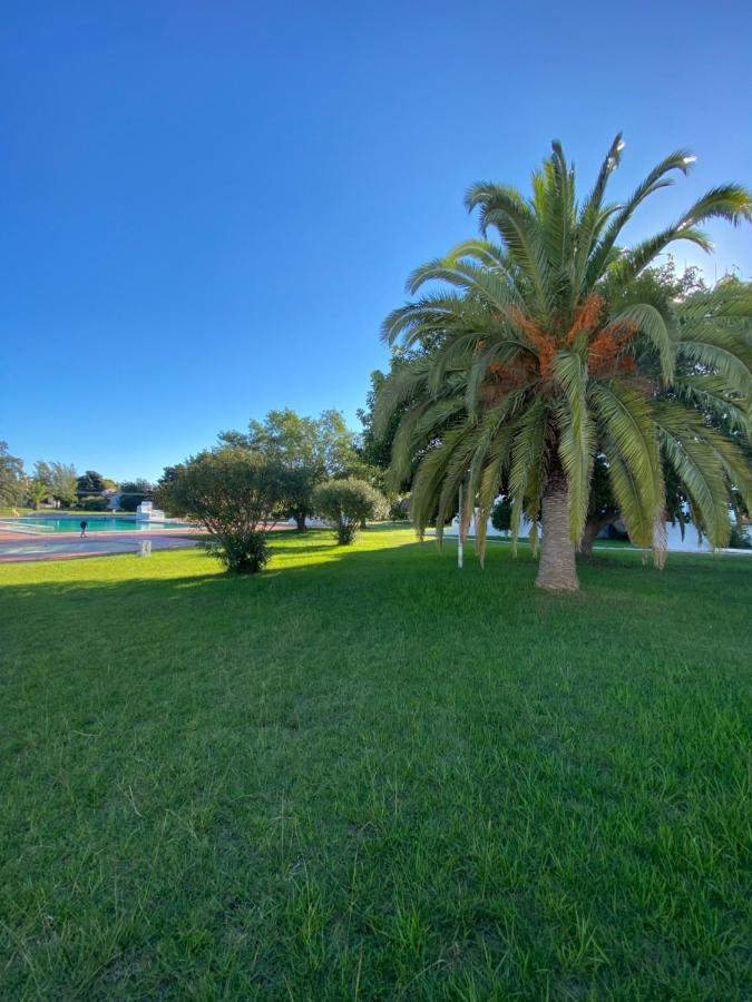 New Algarvegas Paradise Apartment Albufeira Kültér fotó