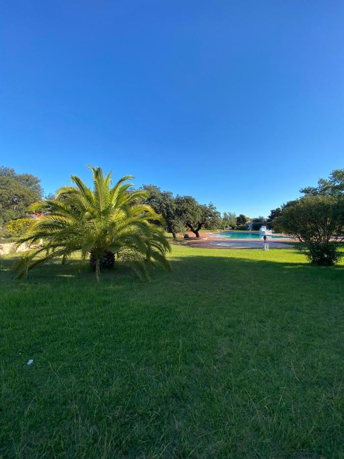 New Algarvegas Paradise Apartment Albufeira Kültér fotó