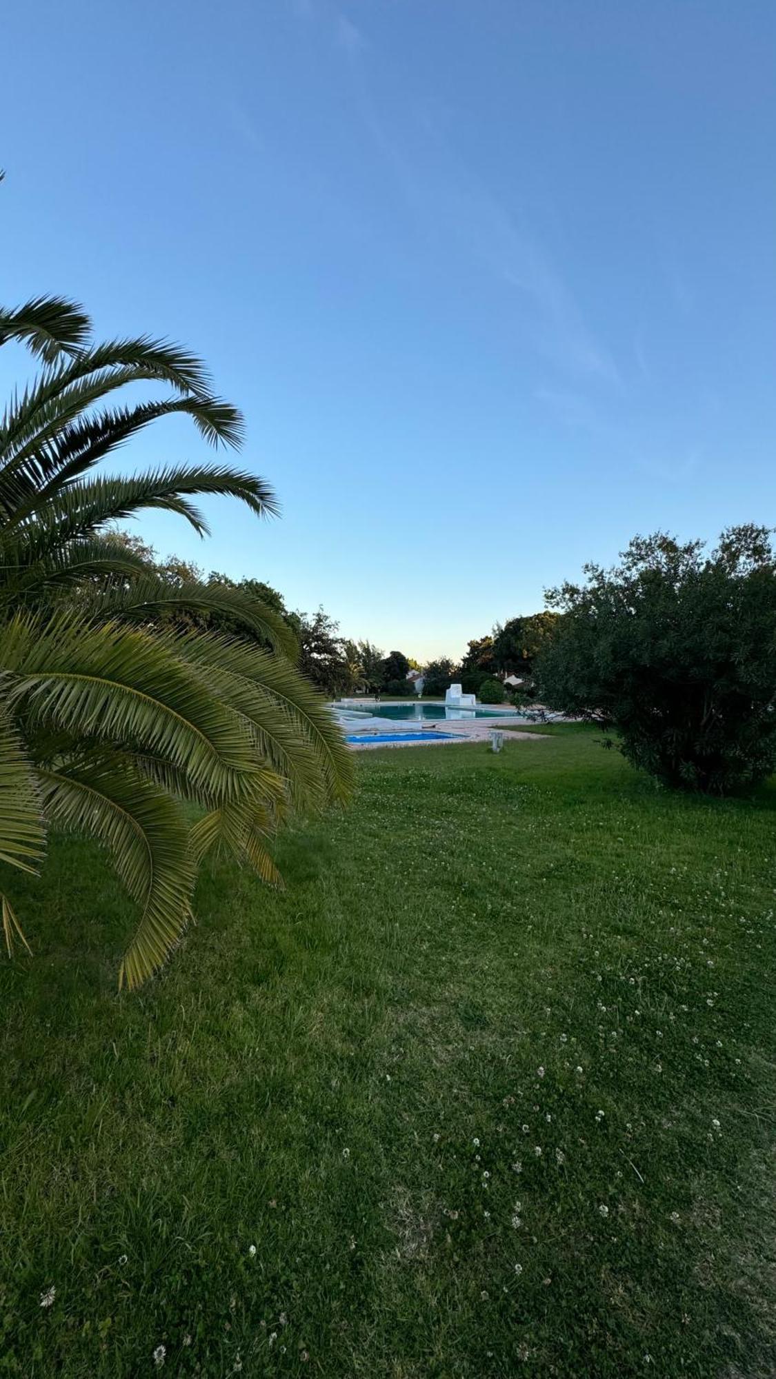 New Algarvegas Paradise Apartment Albufeira Kültér fotó