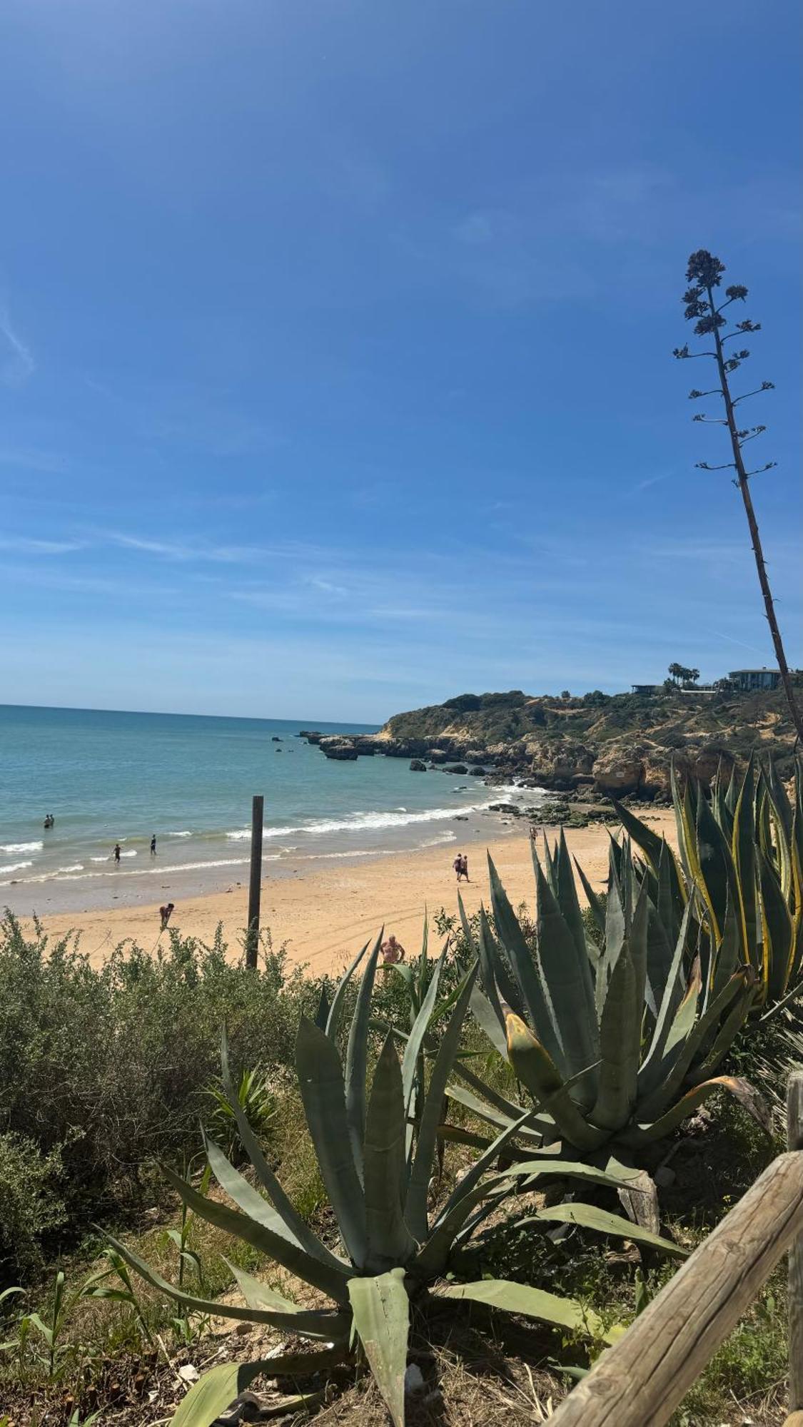 New Algarvegas Paradise Apartment Albufeira Kültér fotó